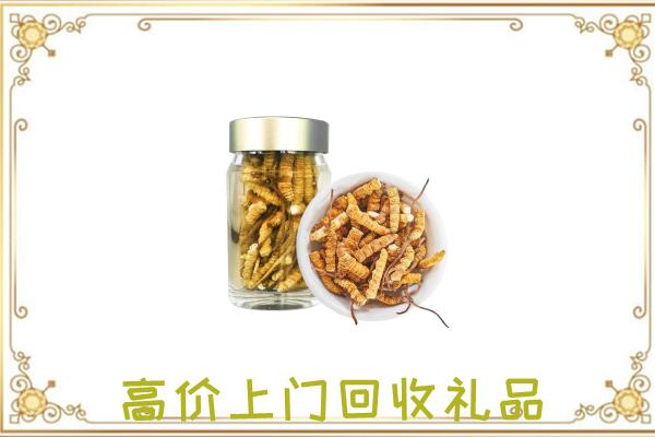 习水周边回收虫草